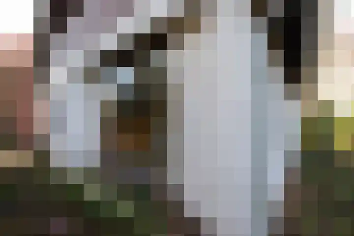 Hemstea 12 Eibergen thumbnail 26