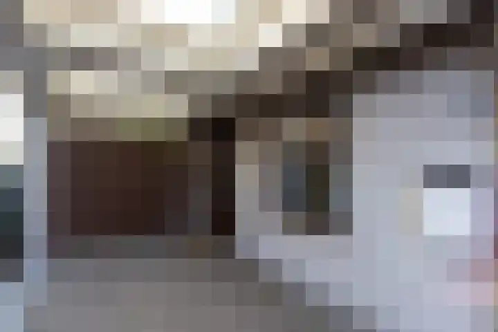 Hemstea 12 Eibergen thumbnail 27