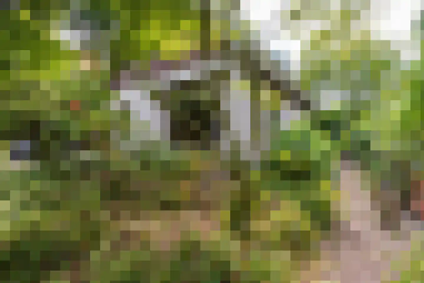 Hemstea 12 Eibergen thumbnail 27