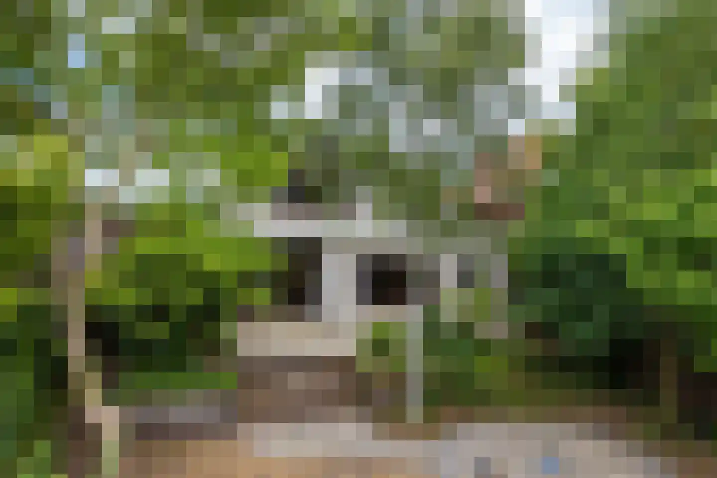 Hemstea 12 Eibergen thumbnail 28