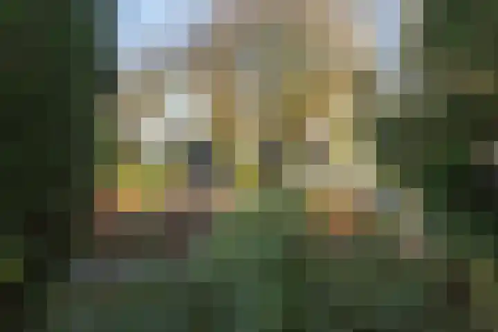 Hemstea 12 Eibergen thumbnail 29