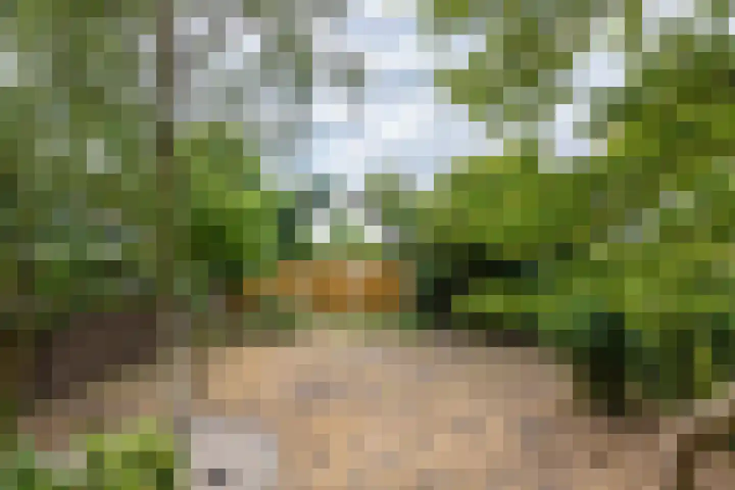 Hemstea 12 Eibergen thumbnail 29