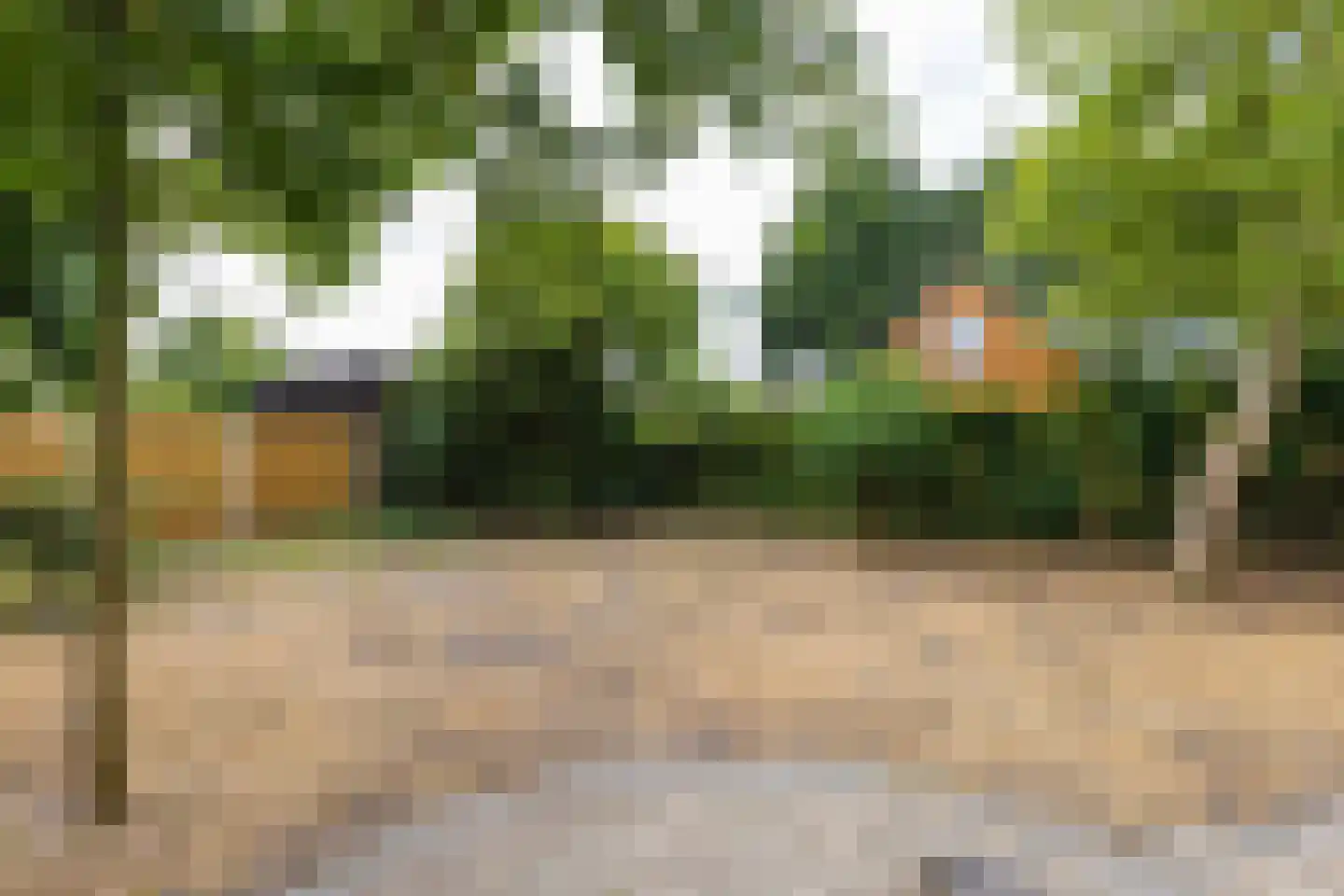 Hemstea 12 Eibergen thumbnail 30