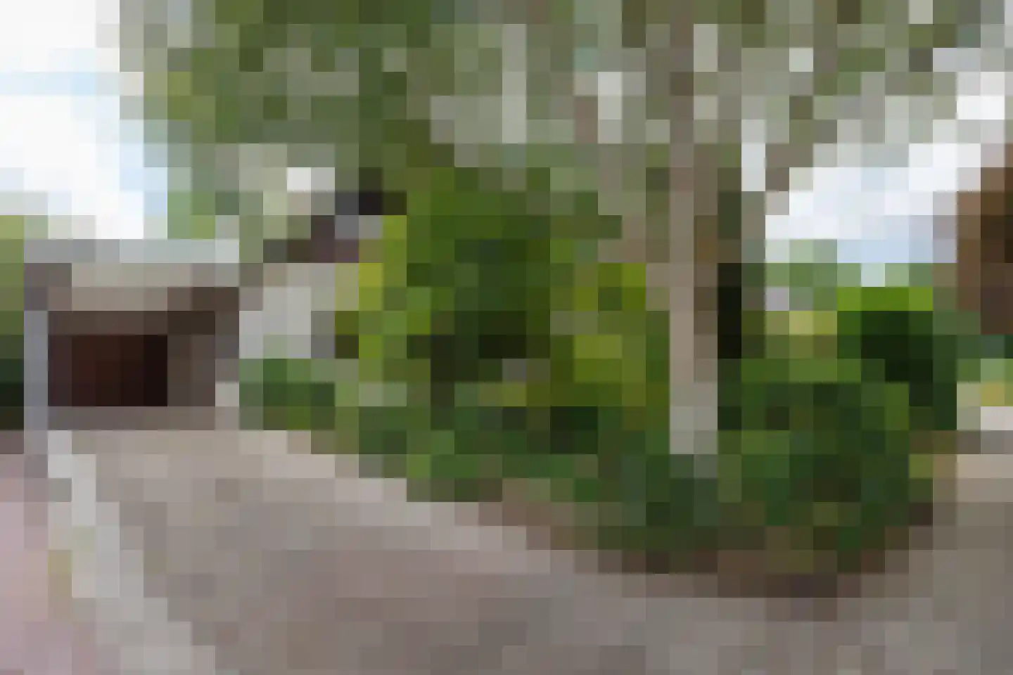 Hemstea 12 Eibergen thumbnail 33