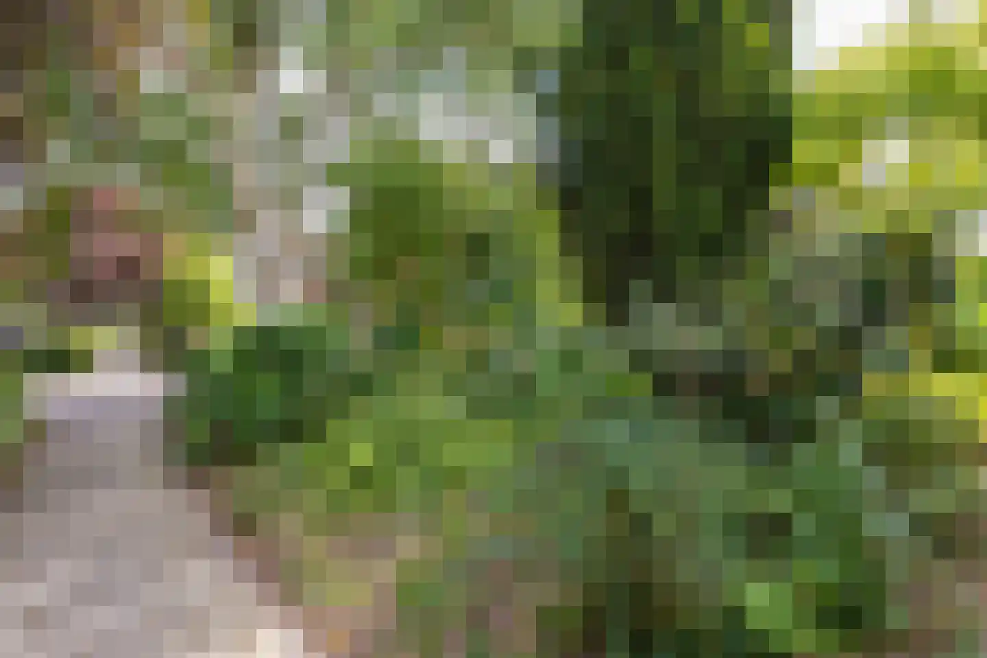 Hemstea 12 Eibergen thumbnail 34