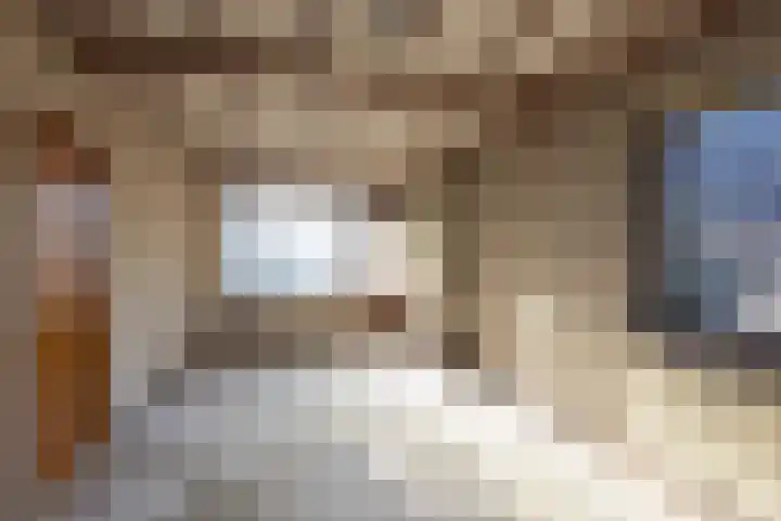 Hemstea 12 Eibergen thumbnail 4
