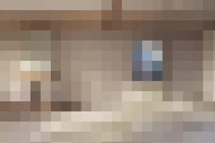Hemstea 12 Eibergen thumbnail 5