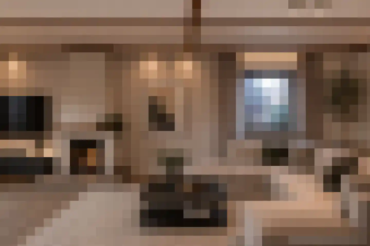 Hemstea 12 Eibergen thumbnail 8