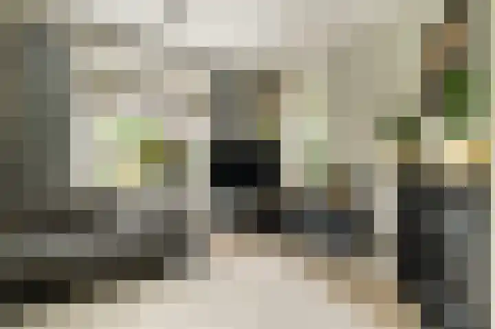 Hemstea 19 Eibergen thumbnail 10