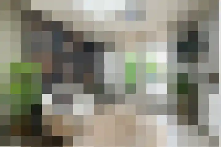 Hemstea 19 Eibergen thumbnail 14