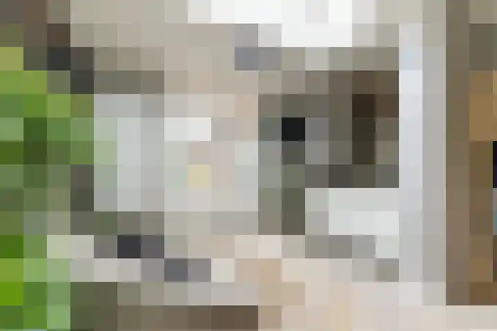 Hemstea 19 Eibergen thumbnail 15