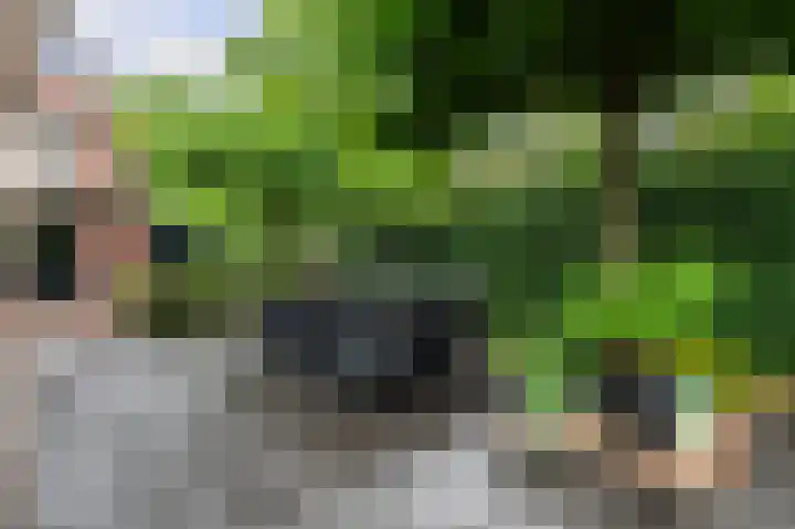 Hemstea 19 Eibergen thumbnail 35