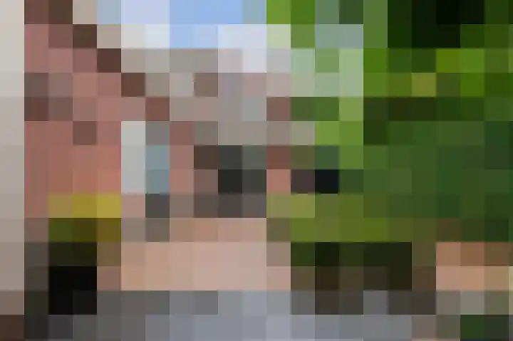 Hemstea 19 Eibergen thumbnail 37