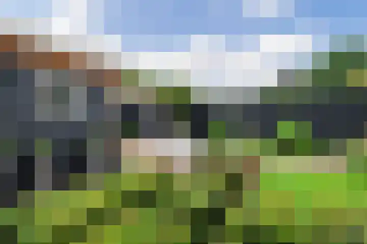 Hemstea 19 Eibergen thumbnail 40