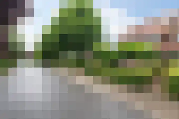 Hemstea 19 Eibergen thumbnail 42