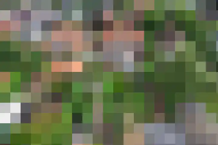 Hemstea 19 Eibergen thumbnail 43