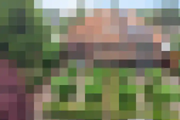 Hemstea 19 Eibergen thumbnail 6