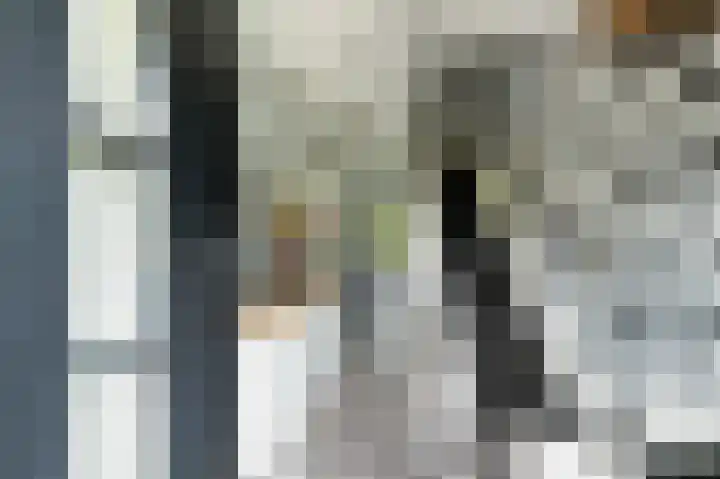 Hemstea 19 Eibergen thumbnail 7