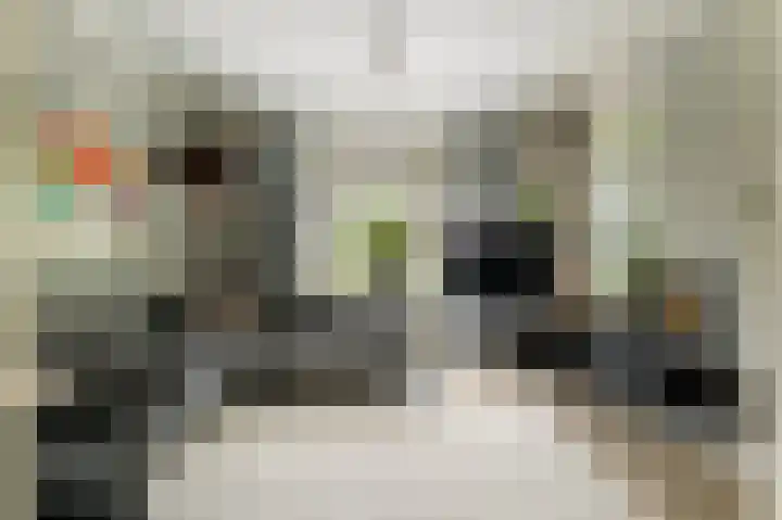 Hemstea 19 Eibergen thumbnail 9