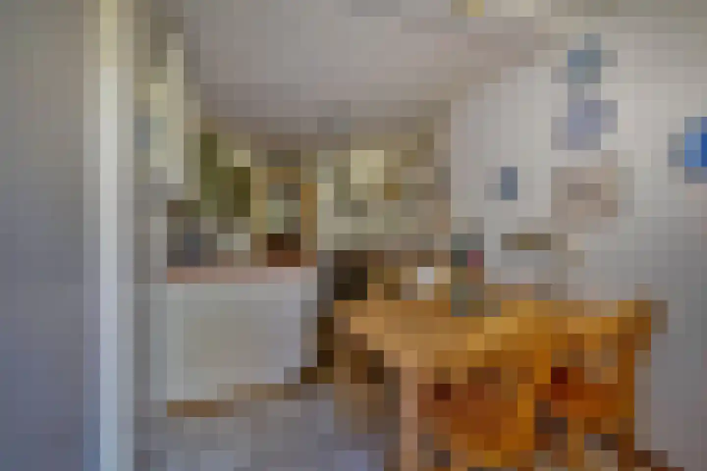 Hemsterhuislaan 25 Haren Gn thumbnail 27