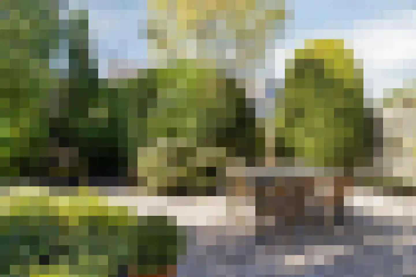 Hemsterhuislaan 25 Haren Gn thumbnail 31