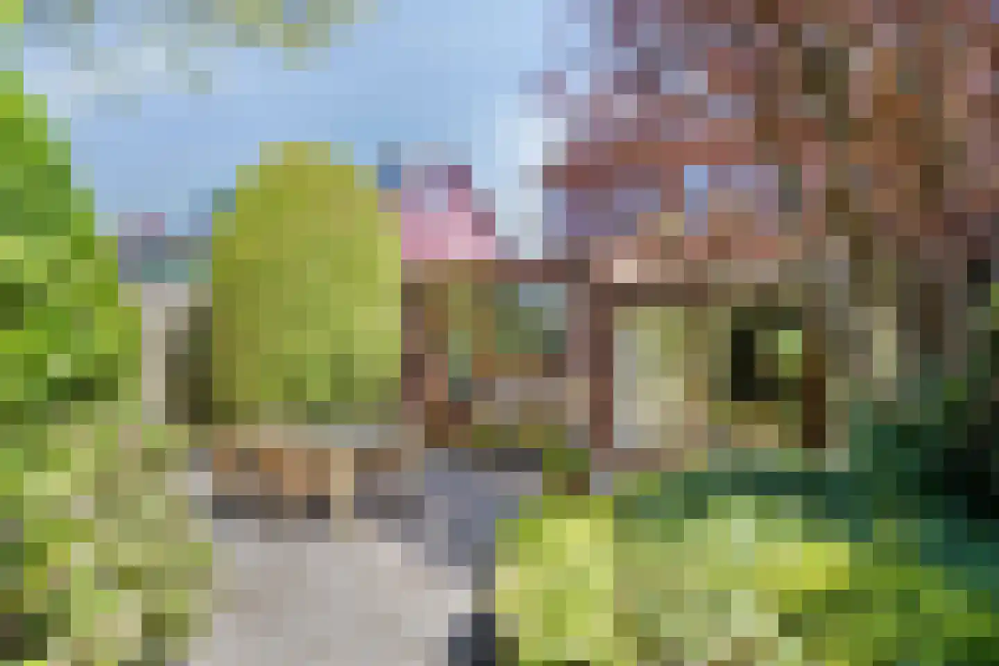 Hemsterhuislaan 25 Haren Gn thumbnail 32
