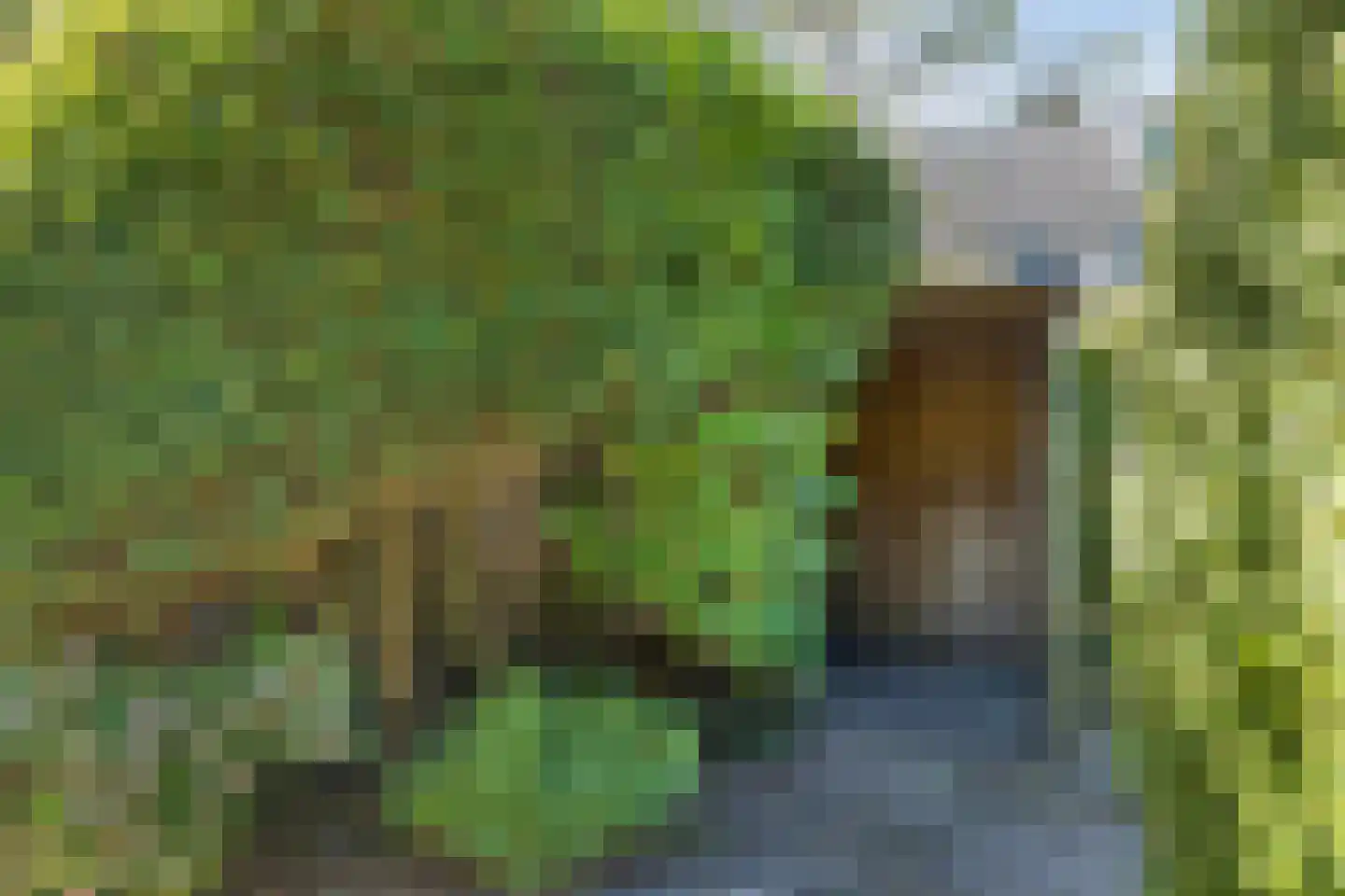 Hemsterhuislaan 25 Haren Gn thumbnail 36