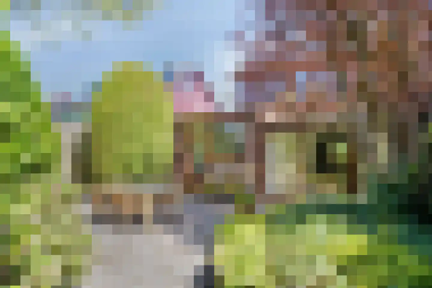 Hemsterhuislaan 25 Haren Gn thumbnail 5