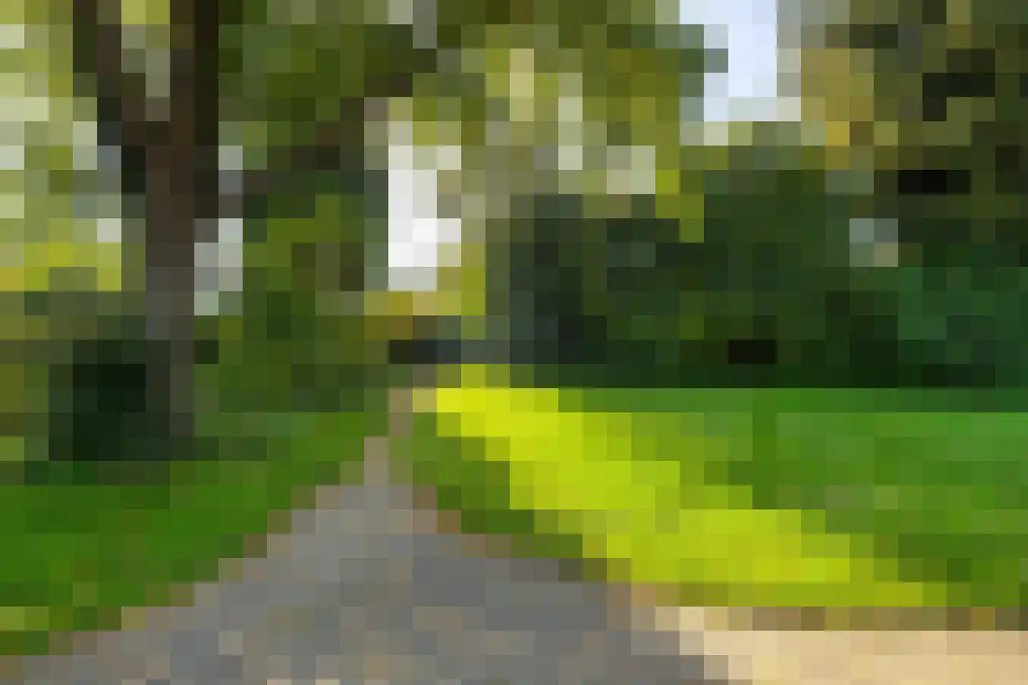Hemsterhuislaan 45 Haren Gn thumbnail 58
