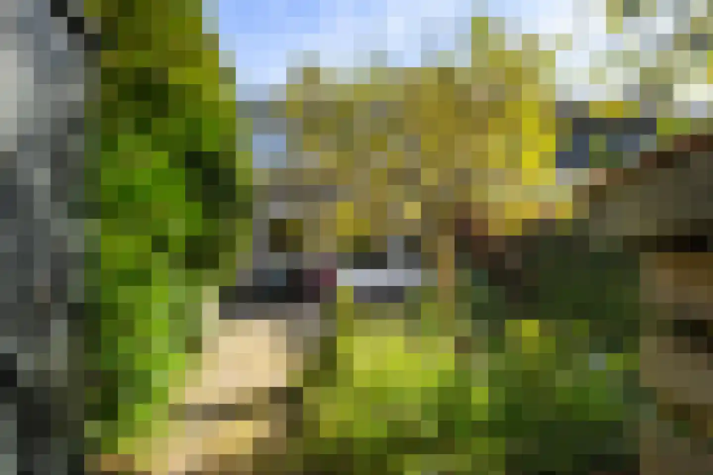 Hemsterhuislaan 45 Haren Gn thumbnail 59