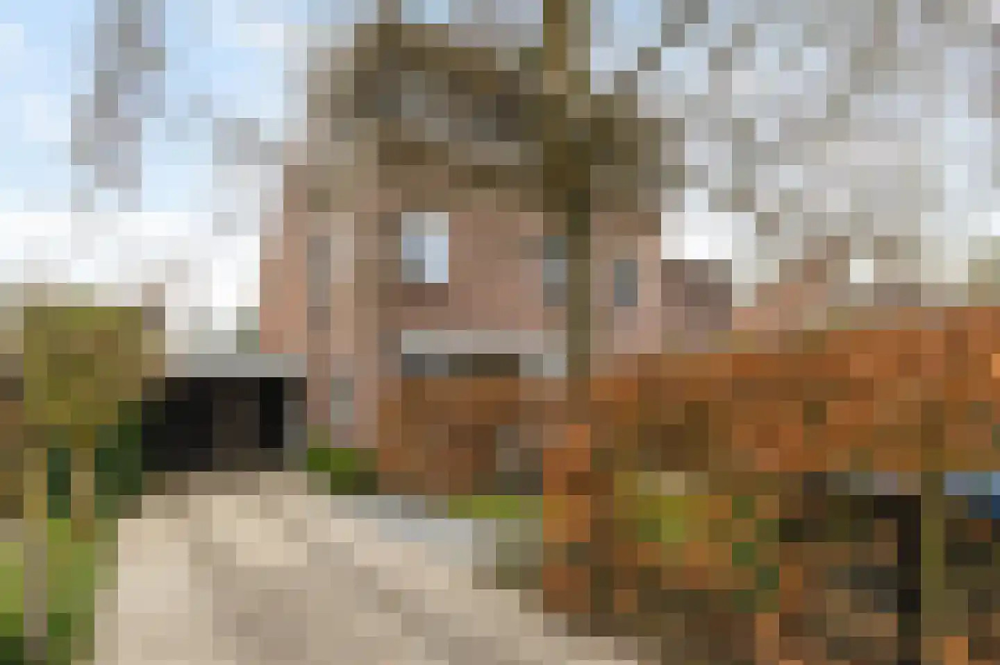 Hemsterhuislaan 50 Haren Gn
