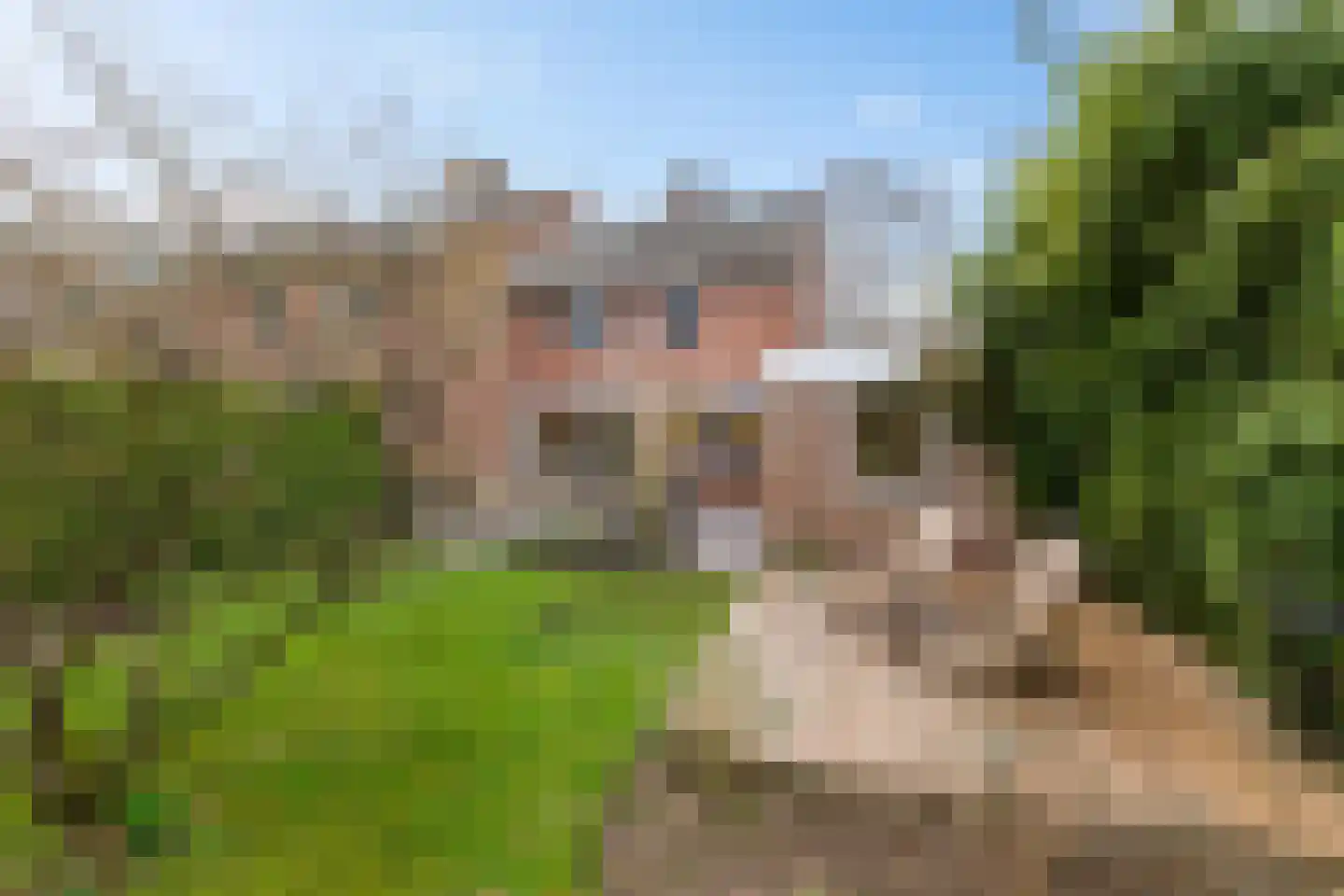 Hemsterhuislaan 50 Haren Gn thumbnail 27