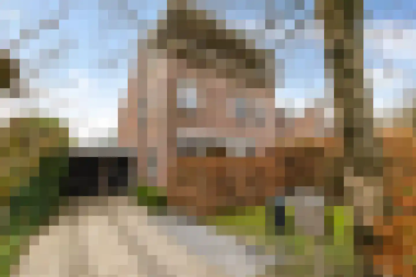 Hemsterhuislaan 50 Haren Gn thumbnail 5
