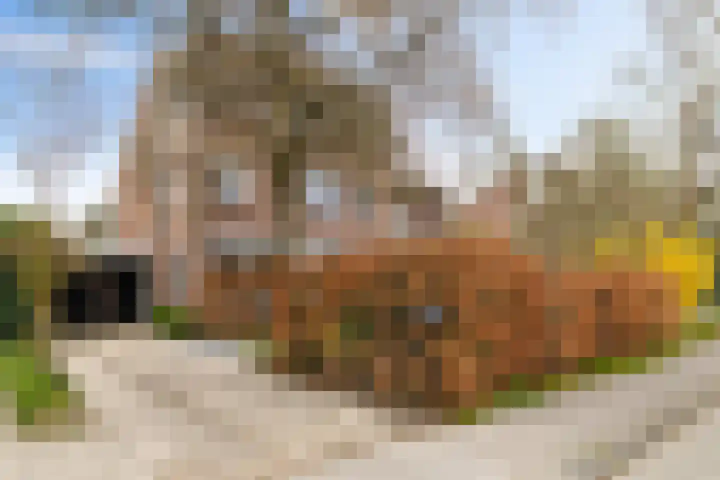 Hemsterhuislaan 50 Haren Gn thumbnail 57