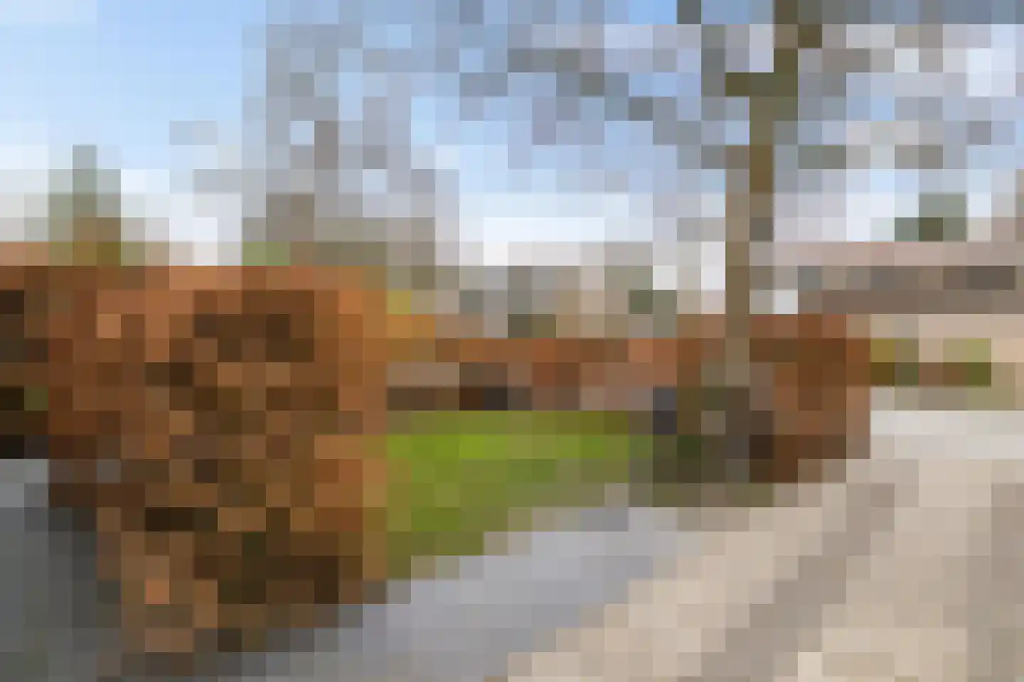 Hemsterhuislaan 50 Haren Gn thumbnail 58