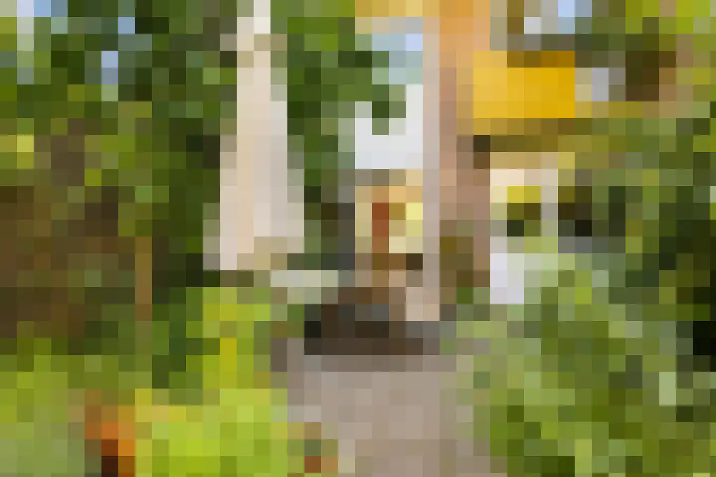 Hemsterhuisstraat 12 Amsterdam thumbnail 24
