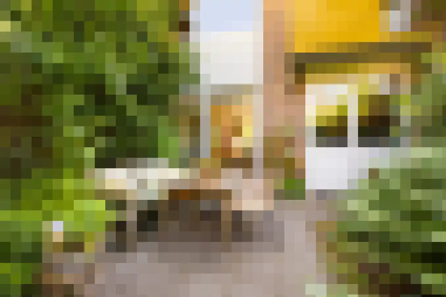 Hemsterhuisstraat 12 Amsterdam thumbnail 25