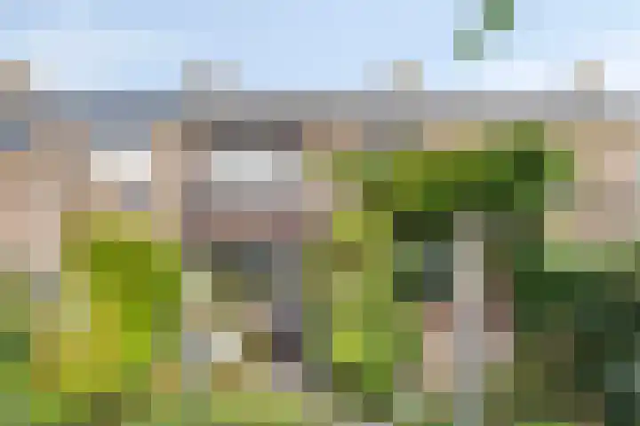 Hemstraat 27 Kloetinge thumbnail 26