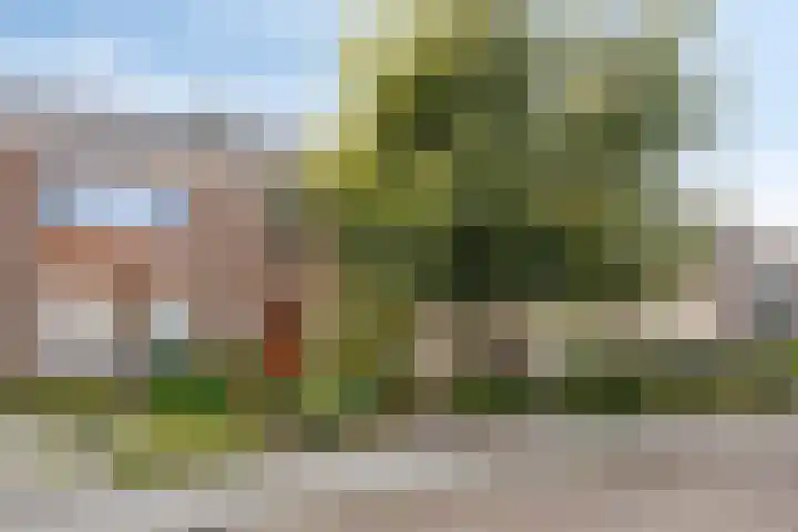 Hemstraat 27 Kloetinge thumbnail 5