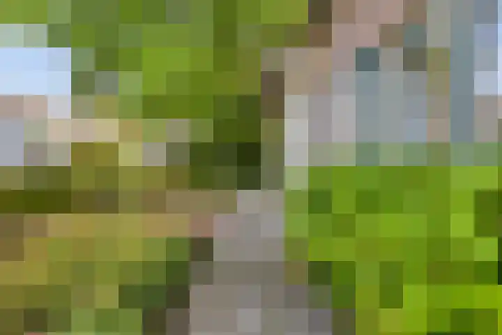 Hemstraat 5 Kloetinge thumbnail 30