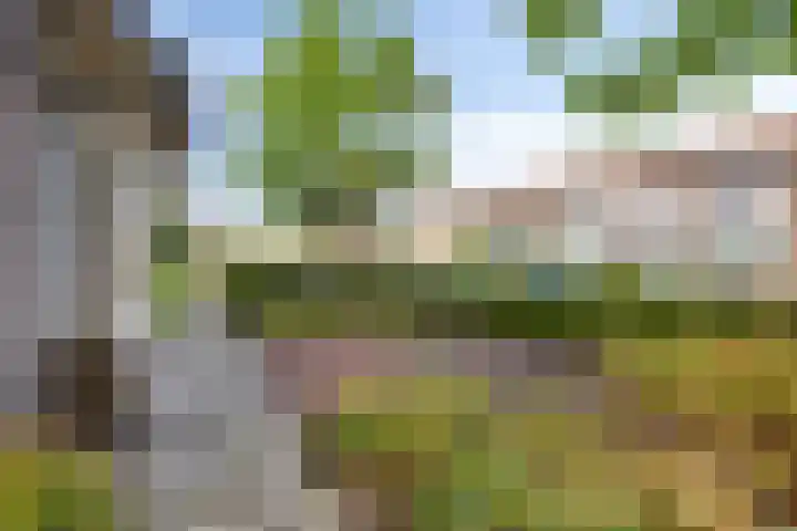 Hemstraat 5 Kloetinge thumbnail 31