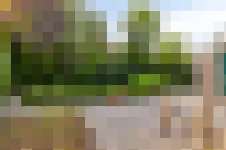 Hemstraat 5 Kloetinge thumbnail 32