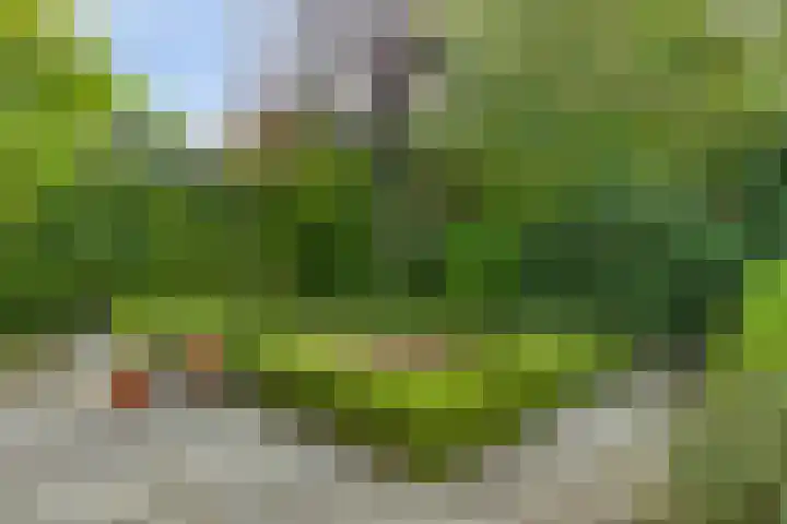 Hemstraat 5 Kloetinge thumbnail 33