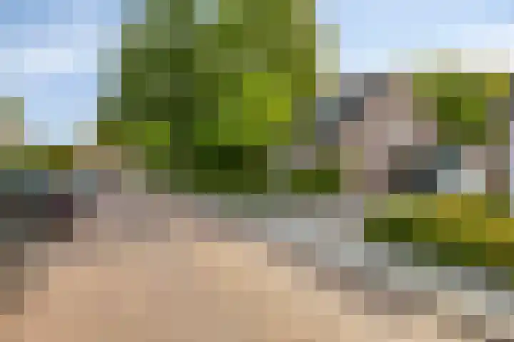 Hemstraat 5 Kloetinge thumbnail 38