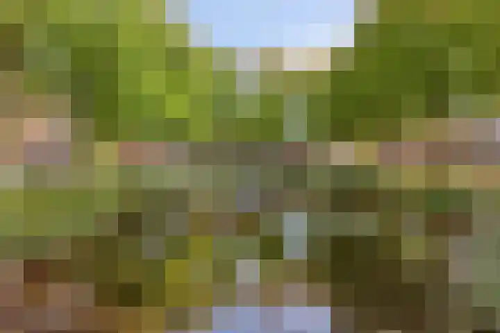 Hemstraat 5 Kloetinge thumbnail 42