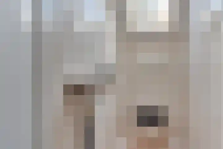 Hemweg 2 Akersloot thumbnail 37