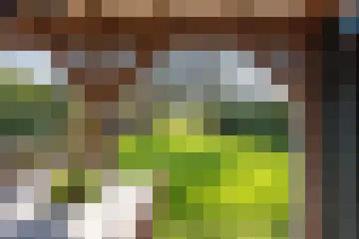 Hemweg 2 Akersloot thumbnail 45