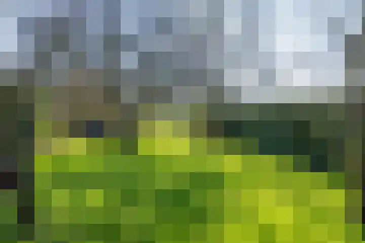 Hemweg 2 Akersloot thumbnail 46