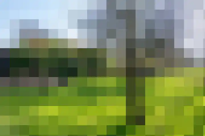 Hemweg 2 Akersloot thumbnail 47