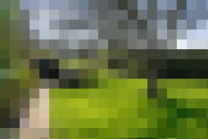 Hemweg 2 Akersloot thumbnail 48
